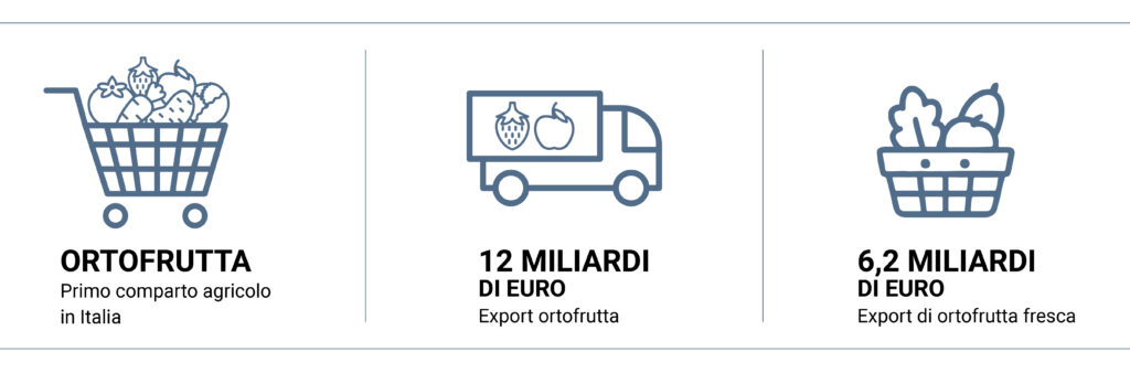 Grafica informativa sull’ortofrutta in Italia: a sinistra un carrello pieno di frutta e verdura con il testo “Ortofrutta, primo comparto agricolo in Italia”; al centro un camion con icone di frutta e la scritta “12 miliardi di euro, export ortofrutta”; a destra un cestino con prodotti freschi e il dato “6,2 miliardi di euro, export di ortofrutta fresca”.