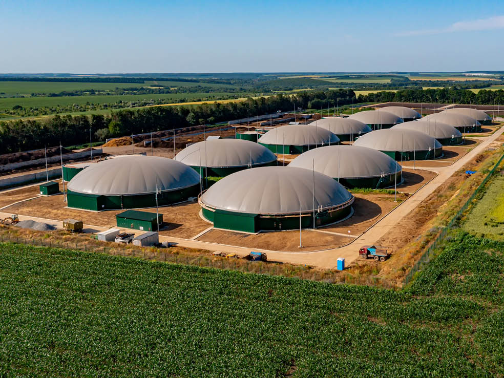 Economia circolare in campo: quando gli scarti agricoli diventano nuove risorse