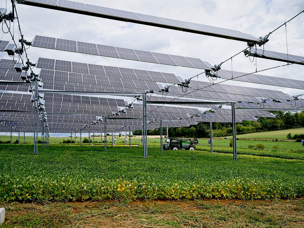 Agrivoltaico: coltivare terra producendo energia