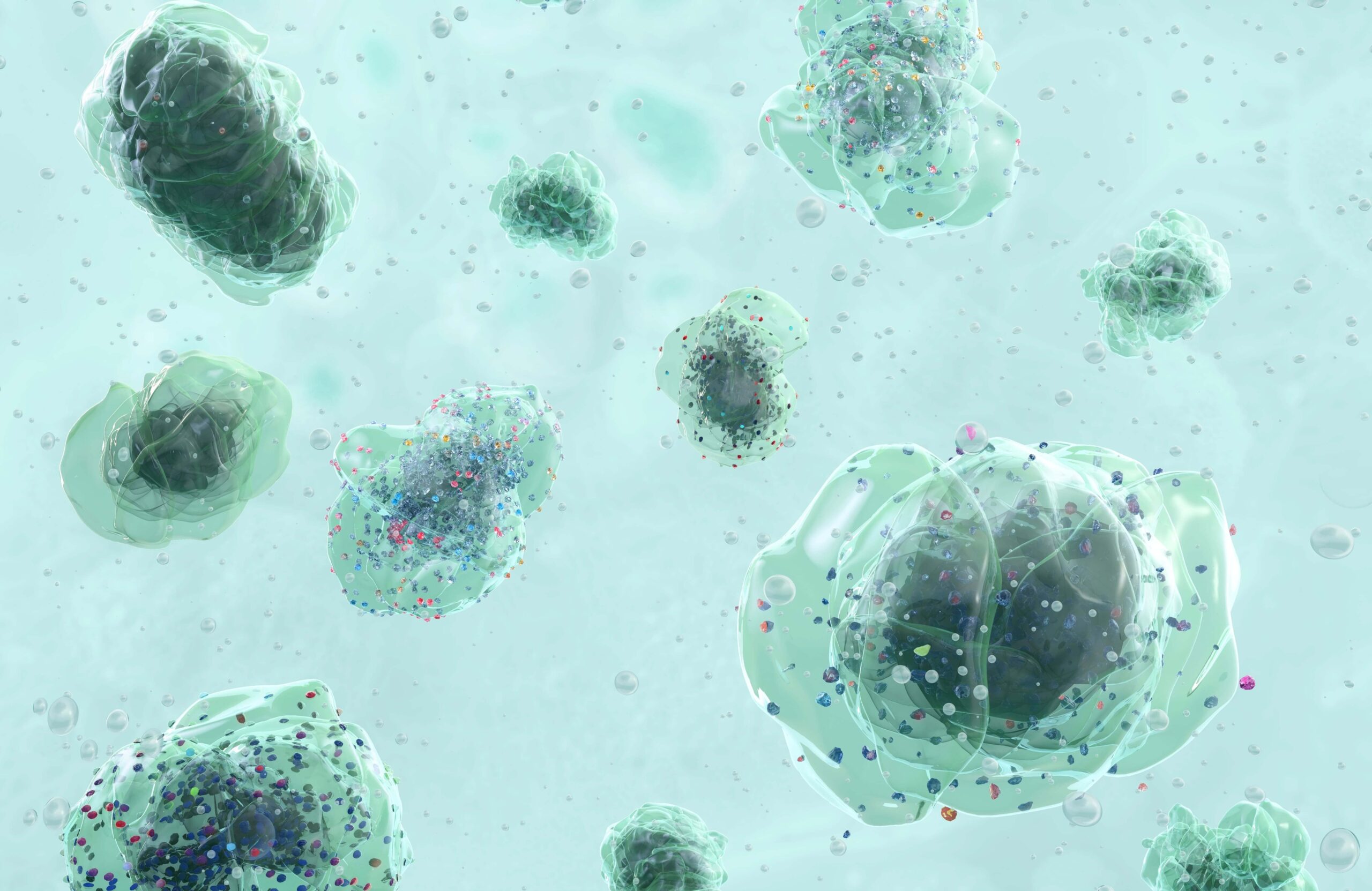 Microplastiche: cosa sono e come incidono sulla filiera agroalimentare